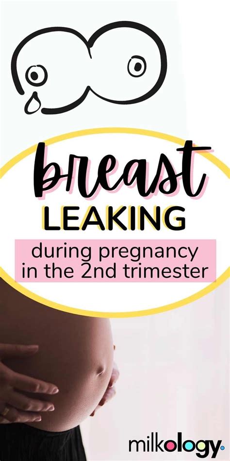 leaking colostrum at 20 weeks|Understanding The Timing Of Breast Leaking During Pregnancy